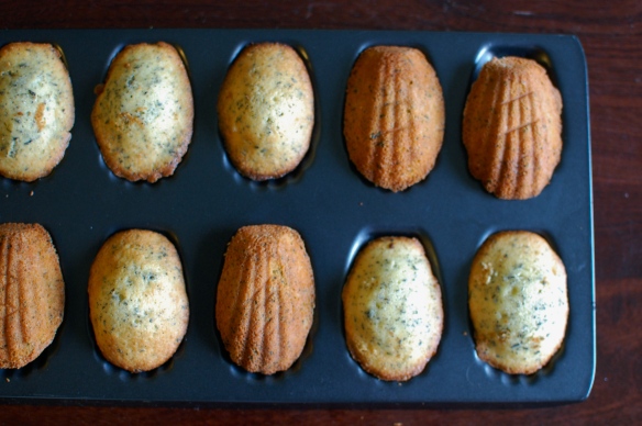 madeleines tray
