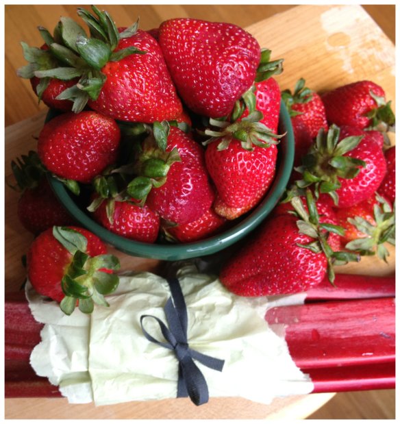 strawberries & rhubarb2